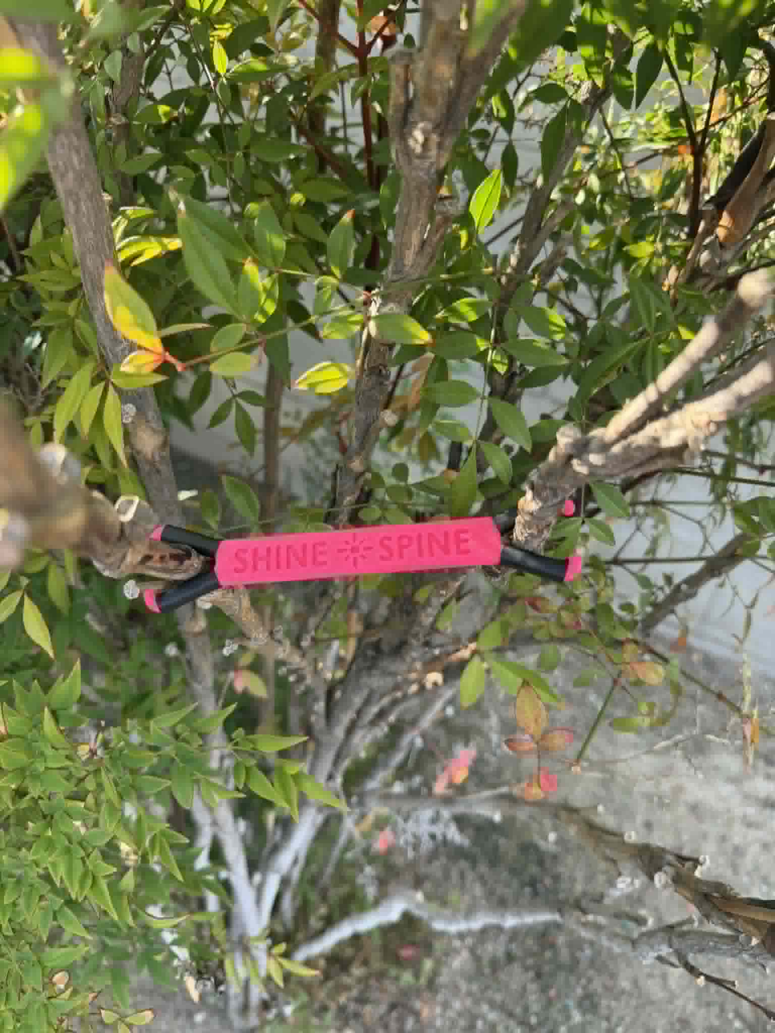 Shine Spine Branch Spreader Bloom Pulse Rose 3 1/2inch gardening tool attached to a tree branch with green leaves in the background.