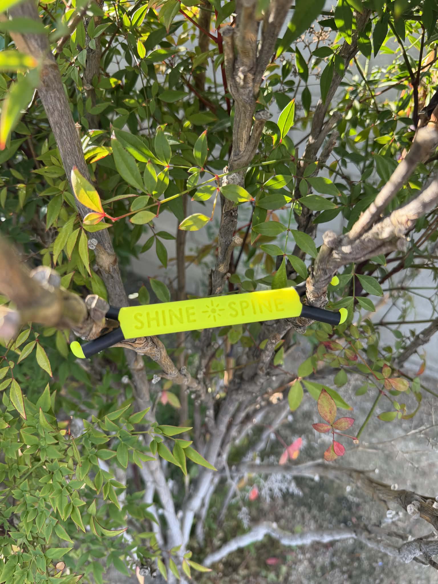 Shine Spine Branch Spreader Photon Burst Yellow 3 1/2inch gardening tool attached to a tree branch with green leaves in the background.