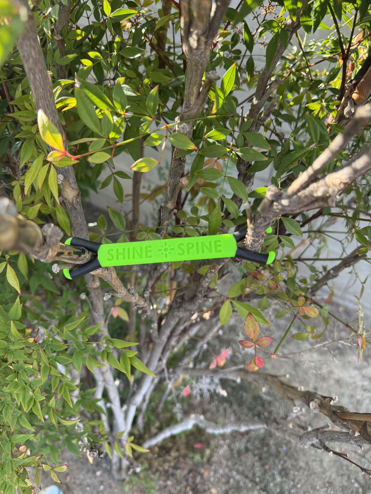 Shine Spine Branch Spreader Radiant Grove Green 3 1/2inch gardening tool attached to a tree branch with green leaves in the background.