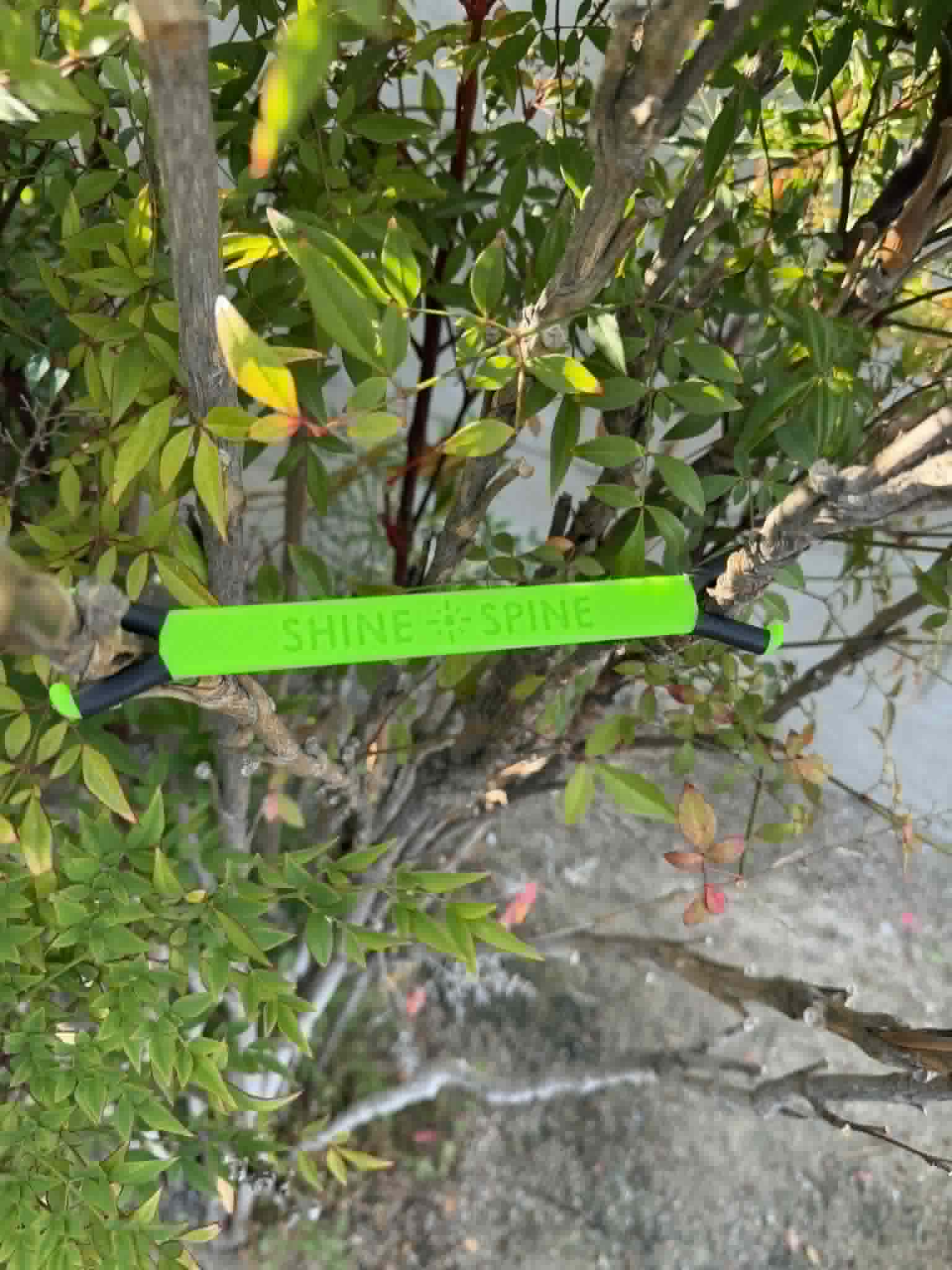 Shine Spine Branch Spreader Radiant Grove Green 5inch gardening tool attached to a tree branch with green leaves in the background.